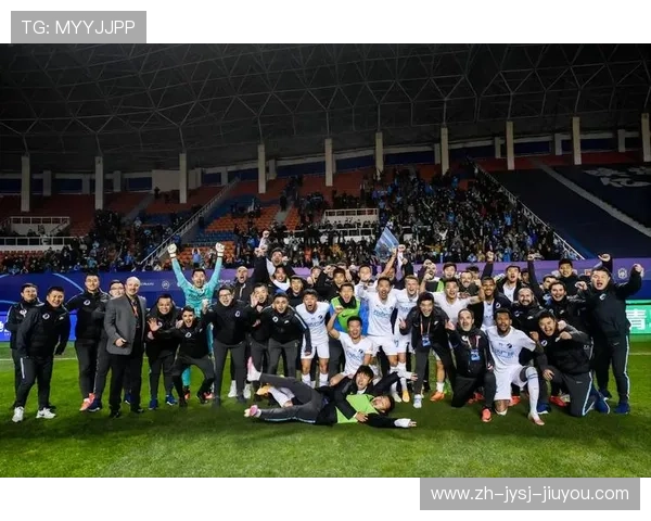 法甲外援适应情况研究及影响球队表现的因素